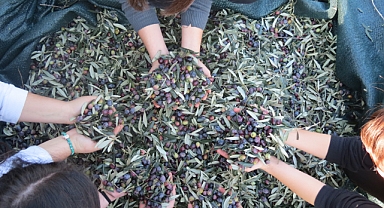 BALIKESİR’İN EDREMİT İLÇESİDEN AB KOMİSYONUNA UZANAN BAŞARI