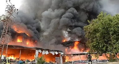 Abd'de geri dönüşüm tesisindeki yangından zehirli duman yayılıyor