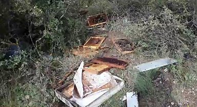 Aç kalan ayı arı kovanlarını parçaladı