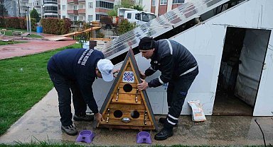 Altıeylül'de sokak hayvanları unutulmadı