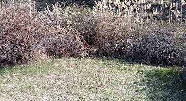 Ankara'da kafası koparılmış 45 günlük ceset bulundu