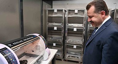 Balıkesir Büyükşehir sokak hayvanlarının yanında