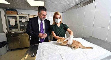 Bayraklı'daki can dostlara özel klinik