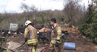 Beykoz'da ahır yandı, 2 hayvan telef oldu