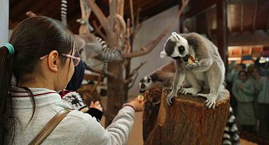 Bursa'da bayram neşesi, Hayvanat Bahçesi'nde yaşanacak