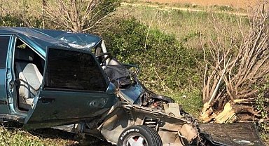 Bursa'da çarptığı ağaç üzerine düştü, feci şekilde hayatını kaybetti