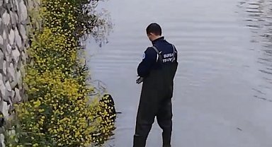 Bursa'da dereye düşen köpeğin imdadına itfaiye yetişti