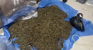 Ev değil uyuşturucu dükkanı