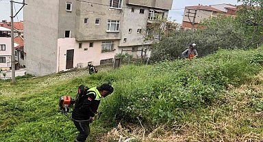 Gemlik'te bahar mesaisi