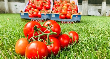 Gönen’de Türkiye’nin En Büyük Sera Organize Sanayi Bölgesi Oluşuyor