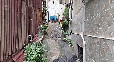 Havlayan köpek hırsızı yakalattı: Ev sahibi, hırsızı böyle dövdü