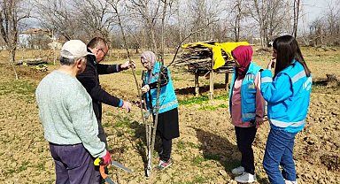 Hisarcık'ta çiftçilere meyve ağaçlarında budama teknikleri eğitimi