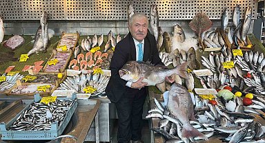 İstanbul'da balıkçılar 20 kiloluk Mercan balığı yakaladı