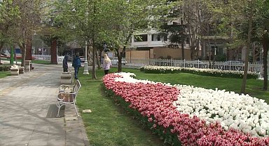 İstanbul'da lale şöleni: 70 çeşit lale, 2 milyon soğan dikildi