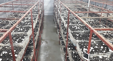 İvrindi'de Kadınlara İstihdam Kapısı Açıldı