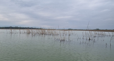 Kaçak Avcıların Kasnaklarına El Konuldu 
