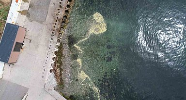 Kadıköy'de müsilajı andıran görüntü