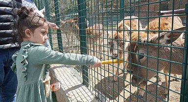 Keçiören Belediyesi Doğal Yaşam Parkına yoğun ilgi