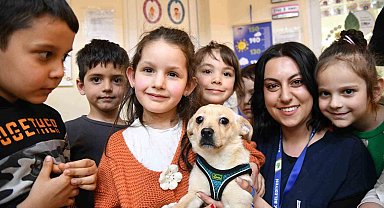 Mamak'ta Dünya Sokak Hayvanları Günü kutlandı