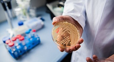 Ölümcül mantarla, yapay zeka desteği ile mücadele edilecek