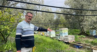 Parmak Yalatan Hırsızlık