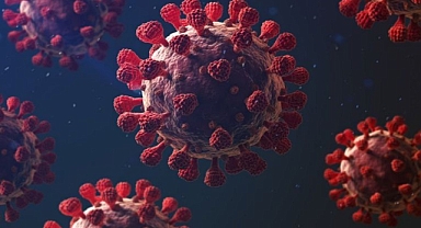 Profesörden 'Covid-19' Uyarısı: 