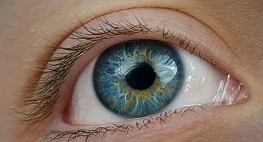 "Körlük nedenleri arasında ilk sırada, dünyada tek tedavisi ameliyat"