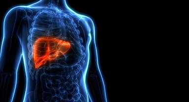 Ramazanda arınan karaciğerinizi bayramda yeniden kirletmeyin