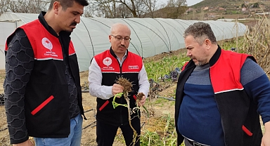 Sındırgı İlçe Tarım ve Orman Müdürlüğü Personeli Çiftçileri Bilgilendiriyor