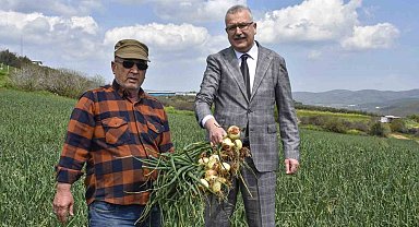 Soğan fiyatları bayramdan sonra düşecek