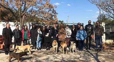 Sokak hayvanları için mobilya tasarladılar