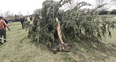 Sultangazi'de virajı alamayan hafif ticari araç ağacı devirip takla attı
