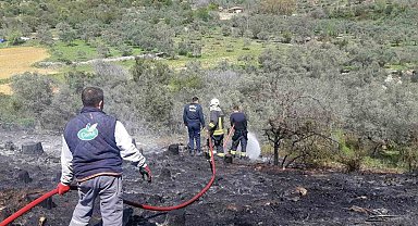 Temizlik ateşi ormanı yakıyordu