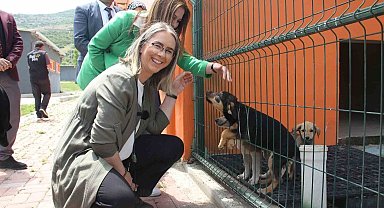 AK Parti'li Çankırı'dan sokak hayvanları için İzmir'e 2 müjde