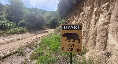 Ayı Uyarısı Levhalara Taşındı  