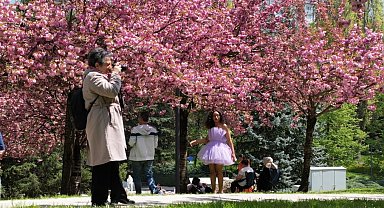 Türk-Japon Dostluğunun Simgelerinden Görsel Şölen