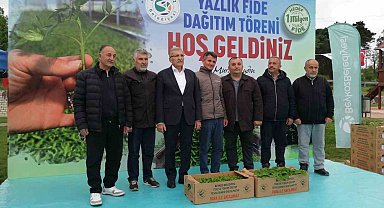 Beykozlu 11 üreticiye 25 bin fide dağıtıldı