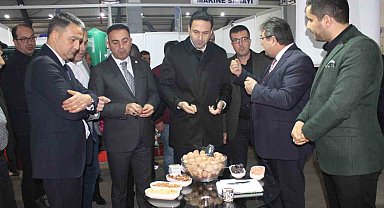 Biga'da Ceviz ve Badem Festivali başladı