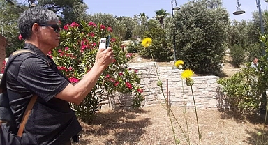 Bu Çiçeği Koparmanın Cezası 244 Bin TL   