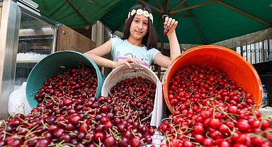 Buca'da Kiraz Festivali için hazırlıklar tamam