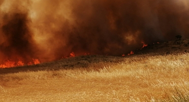 Buğday Tarlası Küle Döndü 