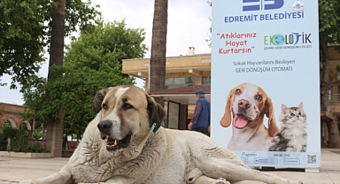 Can Dostlarımıza Mamamatikler Hazır