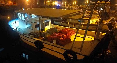 Çanakkale'de değeri 2 milyon TL olan akivades ele geçirildi