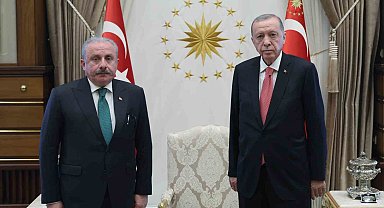 Cumhurbaşkanı Erdoğan, TBMM Başkanı Şentop'u kabul etti
