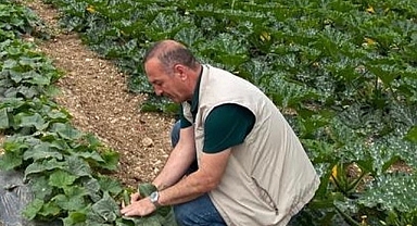 Didim’de Hasat Öncesi Kimyasal Kalıntı Analizleri Yapılıyor   