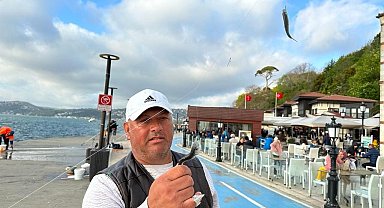 İstanbul Boğazı'nda istavrit bolluğu oltacıları sevindirdi