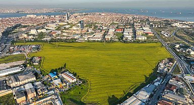 Istanbul'da Kanola Tarlası manzarası görenleri mest etti