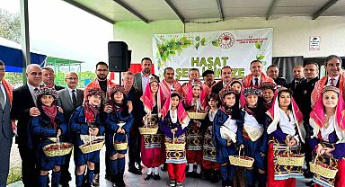 Yılın ilk kiraz hasadı yapıldı