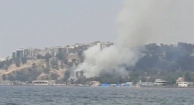 İzmir'de otluk alanda yangın