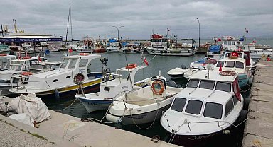 Karabiga'da jumbo karides av sezonu 15 Mayıs'ta başlıyor